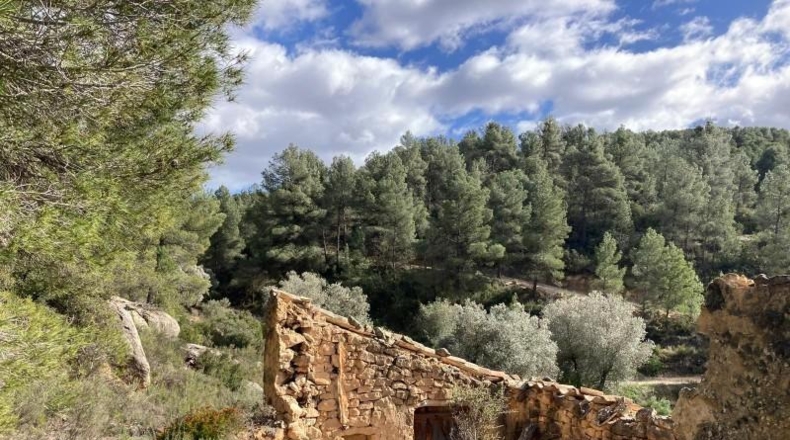 Teruel - Arens de Lledó - 135054m2