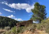 Detached villa with land for sale on España, Arens de Lledó, ref: TR400311 photo
