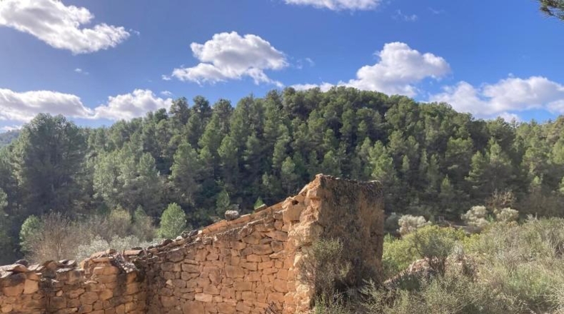 Teruel - Arens de Lledó - 135054m2