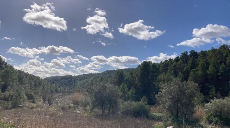 Teruel - Arens de Lledó - 135054m2