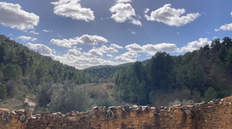 Teruel - Arens de Lledó - 135054m2