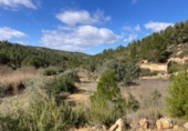 Detached villa with land for sale on España, Arens de Lledó, ref: TR400311 photo