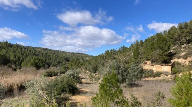 Teruel - Arens de Lledó - 135054m2