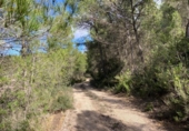 Detached villa with land for sale on España, Arens de Lledó, ref: TR400311 photo