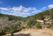 Detached villa with land for sale on España, Arens de Lledó, ref: TR400311 photo