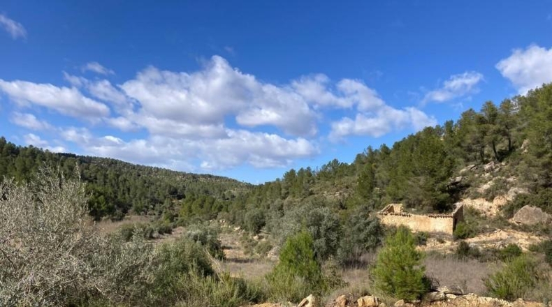 Teruel - Arens de Lledó - 135054m2