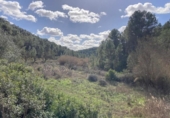 Detached villa with land for sale on España, Arens de Lledó, ref: TR400311 photo
