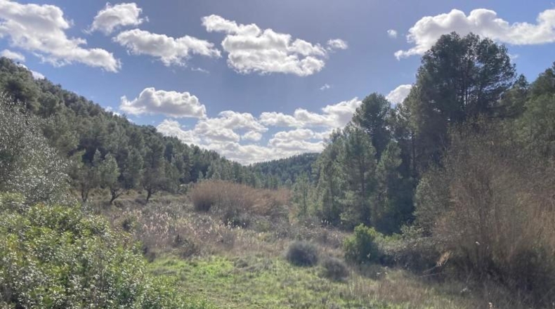 Teruel - Arens de Lledó - 135054m2