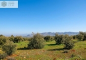 Земля на продажу у города Alhaurín el Grande Фото
