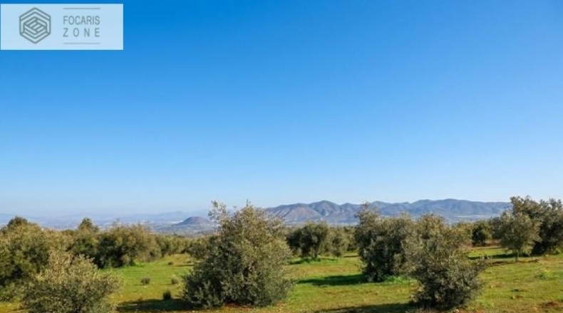 Málaga - Alhaurín el Grande - 3000m2