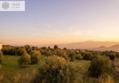 Земля на продажу у города Alhaurín el Grande Фото
