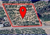 Отдельно стоящий дом с участком на продажу в городе Santomera Фото