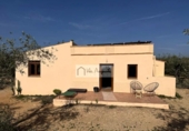 Terreno no urbanizable en venta en la España, Camarles, ref: TR390955 foto