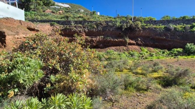 Лас-Пальмас - Santa María de Guía de Gran Canaria - 1028m2