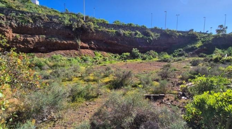 Лас-Пальмас - Santa María de Guía de Gran Canaria - 1028m2