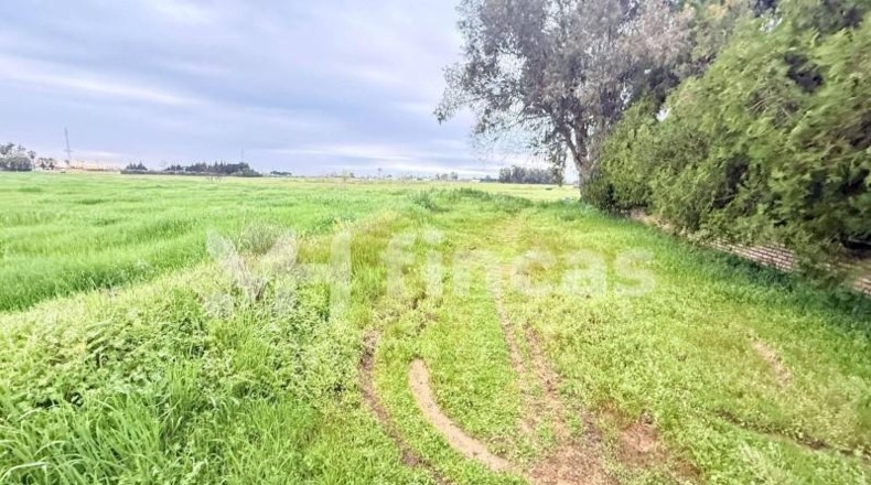 Sevilla - Utrera - 16893m2