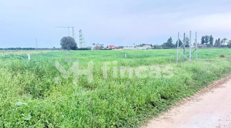 Sevilla - Utrera - 16893m2