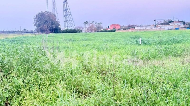 Sevilla - Utrera - 16893m2