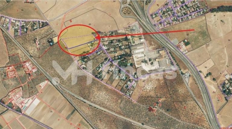 Sevilla - Utrera - 16893m2