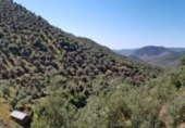 Xalet independent amb terreny en venda a la España, Villanueva de Córdoba, ref.: TR390676 foto