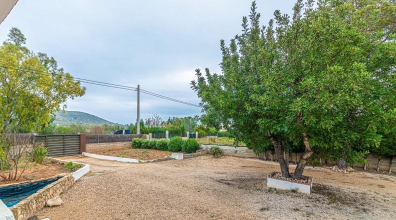 Valencia - Llombai - 1840m2