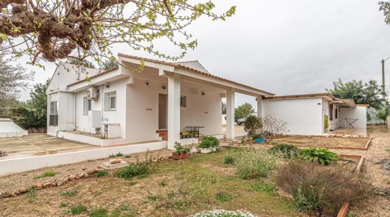 Valencia - Llombai - 1840m2