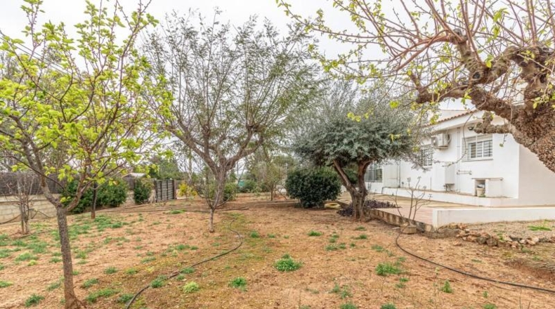 Valencia - Llombai - 1840m2