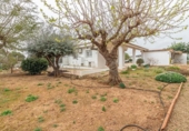Detached villa with land for sale on España, Llombai, ref: TR390754 photo