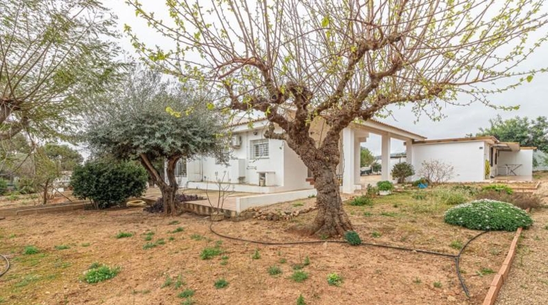 Valencia - Llombai - 1840m2