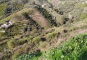 Terreno no urbanizable en venta en la España, Torrox, ref: TR390977 foto