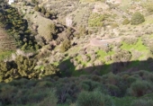 Terreno no urbanizable en venta en la España, Torrox, ref: TR390977 foto