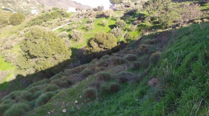Málaga - Torrox - 28700m2