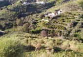 Terreno no urbanizable en venta en la España, Torrox, ref: TR390977 foto