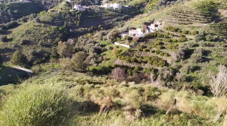 Málaga - Torrox - 28700m2