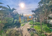 Finca rústica en venda a la España, Huércal-Overa, ref.: TR390579 foto
