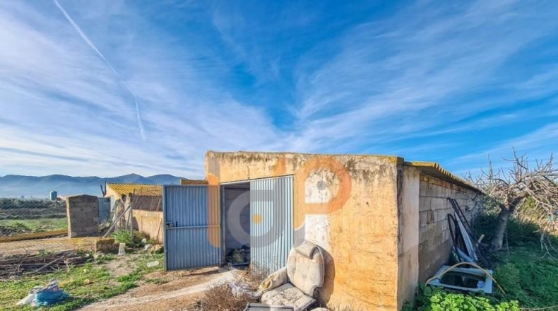 Almería - Huércal-Overa - 9954m2