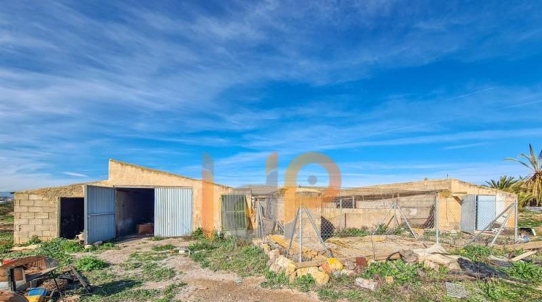Almería - Huércal-Overa - 9954m2