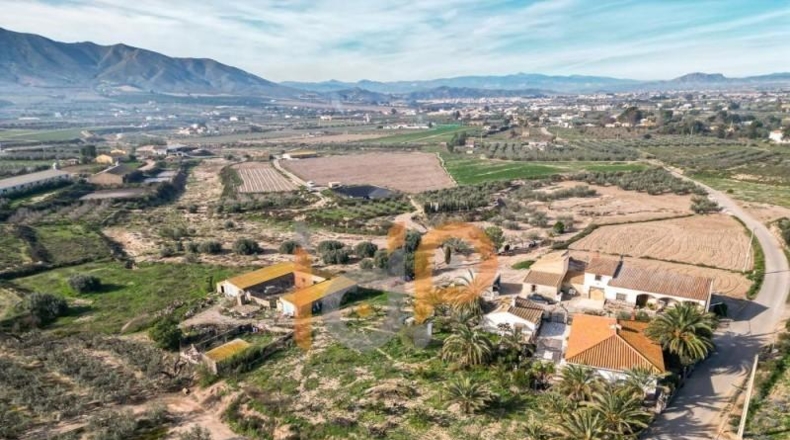Almería - Huércal-Overa - 9954m2