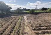 Suelo urbano en venta en la España, la Secuita, ref: TR390931 foto