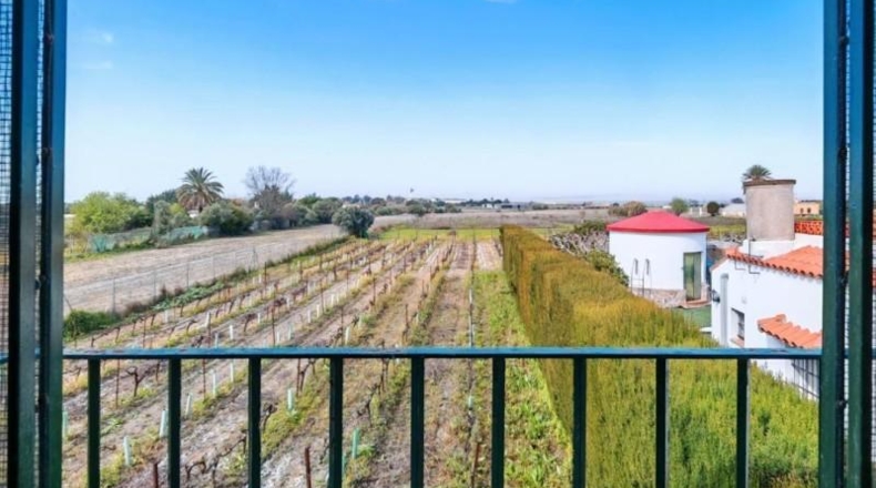 Cádiz - El Puerto de Santa María - 16000m2