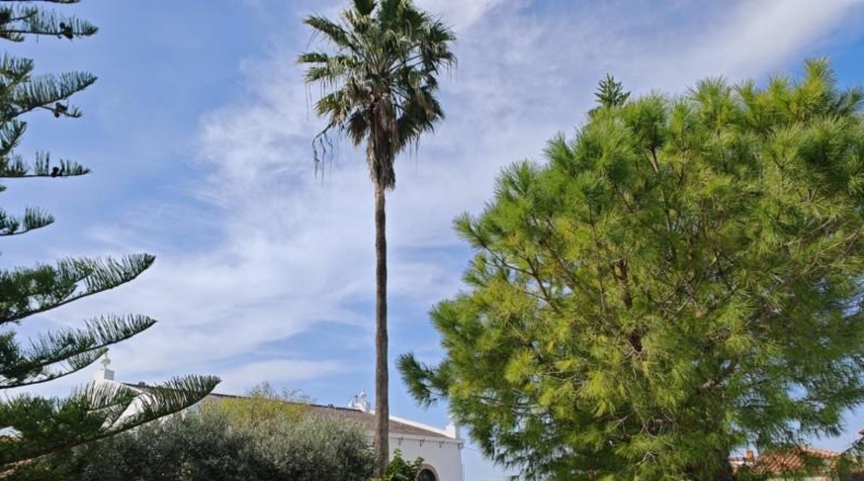 Cádiz - El Puerto de Santa María - 16000m2