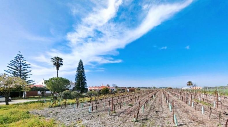 Cádiz - El Puerto de Santa María - 16000m2