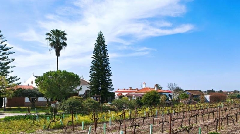 Cádiz - El Puerto de Santa María - 16000m2