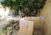 Xalet independent amb terreny en venda a la España, Dénia, ref.: TR390730 foto