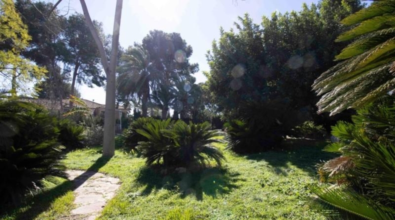 Valencia - Torrente - 1675m2