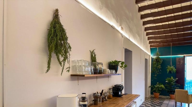 Barcelona - Tordera - 50000m2