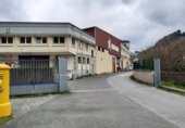 Industrial warehouse for sale in Bilbao ref: TR390598 photo
