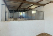 Finca rústica en venda a Alcalá de Guadaíra ref.: TR390635 foto