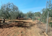 Finca rústica en venda a Alcalá de Guadaíra ref.: TR390635 foto
