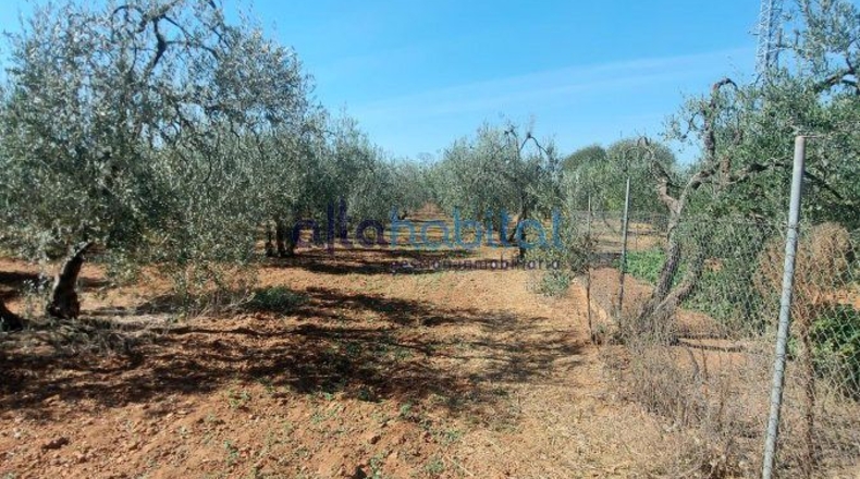 Sevilla - Alcalá de Guadaíra - 8400m2